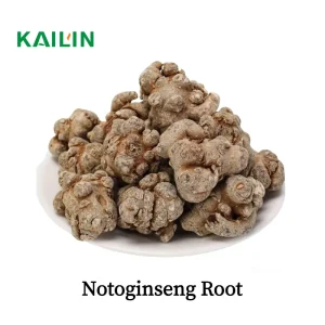 Premium Raw AD Dried Chinese Notoginseng Herb & Spice for Better Circulation & Daily Wellness