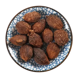 Premium Selected Plump Amomum Villosum for Soup Seasoning Marinade Ingredients and Health Care