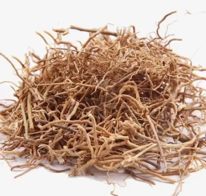 Premium Xv Chang Qing Chinese Herb Medicine Paniculate Swallowwort Roots Slices for Herbal Remedies