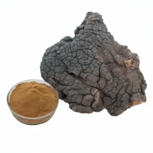 Price Chaga Mushroom Extract Price Chaga Mushroom Extract Powder Chaga Extract