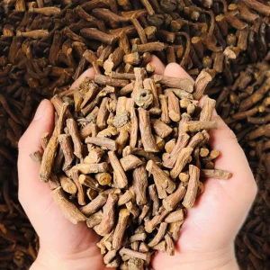 Price Natural Dandelion Root Chinese Dried Herbal Tea for Detox Dandelion Root Tea