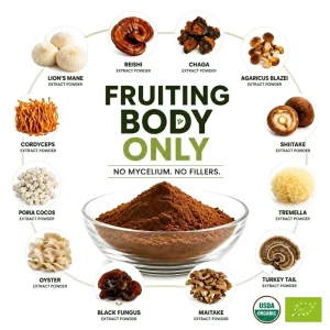 Private Label 100% Fruiting Body 10 in 1 Organic Reishi Cordyceps Lions Mane Chaga Blend Mushroom Extract Powder