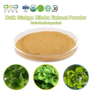 Private Label Ginkgo Biloba Extract Powder Antioxidant Food Additive Powder