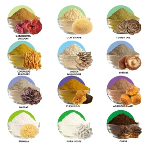 Private Label Herbal Mushroom Extract Powder USDA Organic Lions Mane Reishi Cordyceps Chaga Turkey Tail
