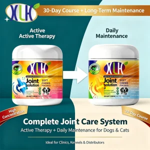 Private Label Pet Joint Supplement Bundle Active Repair and Daily Care Glucosamine Chondroitin Tablets Combo Pack for Dogs Cats