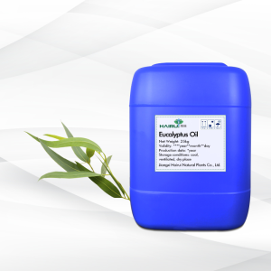 Private Label Pure Natural Eucalyptus Oil Organic Essentical Oil