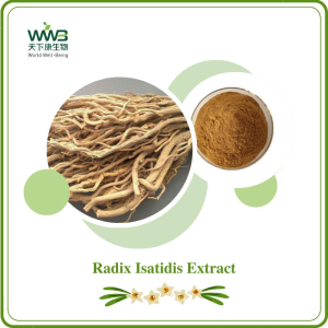 Professional Manufacturer Supply Traditional Chinese Herbal Medicine 100% Natural Pharmaceutical Grade Banlangen Radix Isatidis Extract