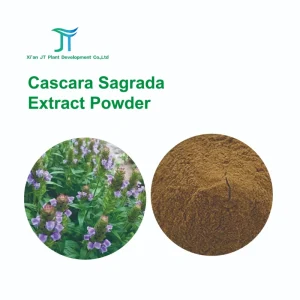 Prunella Vulgaris Extract Powder