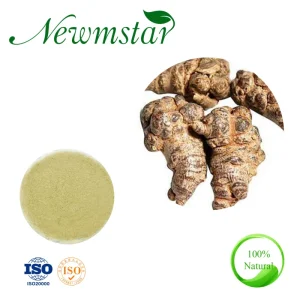 Pseudo Ginseng Flower Extract Panax Notoginseng (Burk.) Best Medicine for Cardiovascular Disease