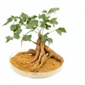 Pueraria Mirifica Extract Powder for Natural Wellness