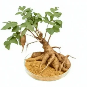 Pueraria Mirifica Flavonoids 40% Total Flavonoids Pueraria Mirifica Extract 40% Isoflavones Herb Kudzu Pueraria Mirifica Root Extract