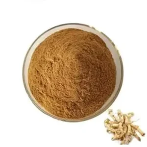 Pure Chinese Huang Jing Extract Rhizoma Polygonati Extract