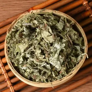 Pure Dried Artemisia Argyi Leaves Raw AD Processed for Moxibustion Therapy & Acupuncture Clinics Strong Penetrating Aroma