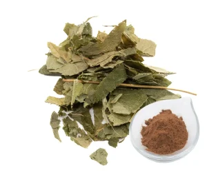 Pure Icariin 10% Epimedium Extract Epimedium Sagittatum Extract Powder Icariin