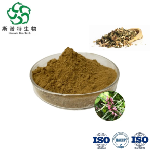 Pure Leonurus Japonicus Extract for Stress Relief and Relaxation