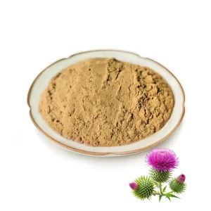 Pure Motherwort Extract Powder Motherwort Extract For Herbal Supplement Use