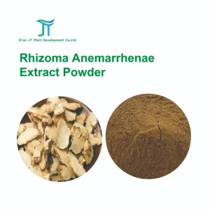 Pure Natural Anemarrhenae Extract Powder for Herbal Remedies