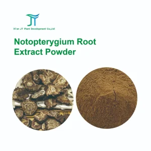 Pure Natural Chinese Herbal Medicinel Anti Inflammatory and Analgesic Notopterygium Root Extract Powder