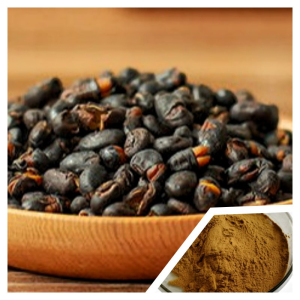Pure Natural Fermented Soybean Extract Powder with Free Sample