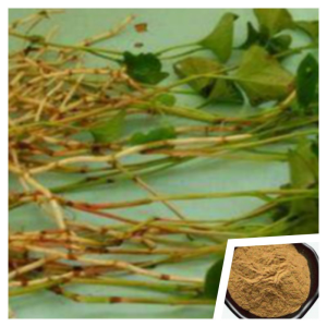 Pure Natural Prunella Vulgaris Extract
