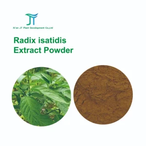 Pure Natural Radix Isatidis Root Powder Chinese Herbal Radix Isatidis Extract Powder