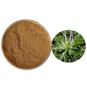 Pure Natural Smell Sweet Taste Bitter 10:1/30:1/50:1/100:1 Yinchen Tiquwu Capillary Wormwood Leaf Extract Powder