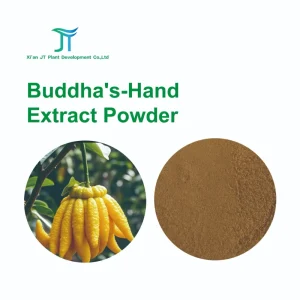 Pure Organic Buddha’s Hand Extract Powder for Natural Healing