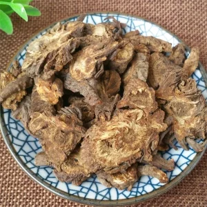 Qiang Huo Natural Herbal Medicine Incised Notopterygium Root