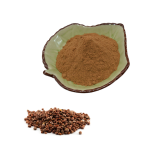 Radish Seed Extract Powder for Strengthening Stomach