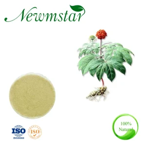 Radix Notoginseng Extract Panax notoginseng (Burk.) F. H. Chen
