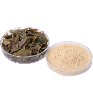 Radix Pseudoginseng Powder 100 Mesh (San Qi Fen)