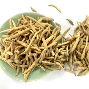 Radix Pseudostellariae Chinese Traditional Herb for Sale Taizishen Natural Dry Herb