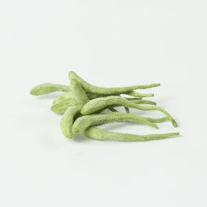 Raw AD Processed Chinese Herb Honeysuckle Flower Dried Single Herbs Spices Anhui Bulk