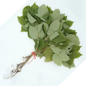 Raw Chinese Herbs Epimedium Leaf AD Dried Herb Green 1KG/Bag From Bozhou