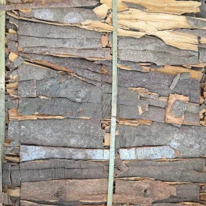 Raw Pressed Cassia Herb Spices Good Quality New Crop Dried Whole Chinese Cinnamon Guangxi