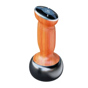 Rechargeable Bian Stone Massage Instrument Hot Compress Scraping Moxibustion Gua Sha Device