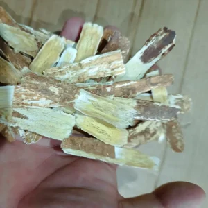 Red Astragalus Root (Radix Hedysari) Gansu Origin Herbal Medicine for Export