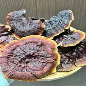 Reishi Ganoderma Traditional Chinese Herbal Organic Reishi Mushroom