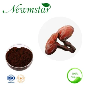 Reishi Mushroom Extract Ganoderma Lucidum Chinese Traditional Medicine