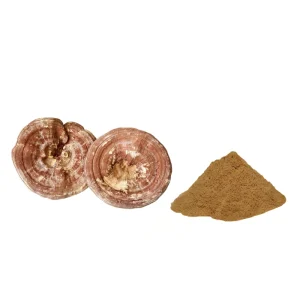 Reishi Mushroom Extract Powder 30% Polysaccharides