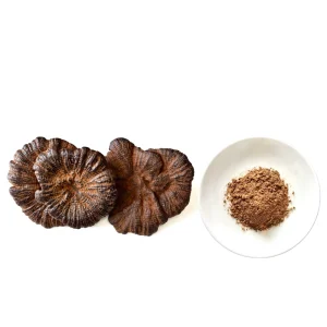 Reishi Mushroom Extract Powder 30% Polysaccharides Drink Tea