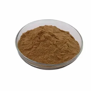 Reishi Mushroom (Ganoderma lucidum) Extract Powder 10: 1 Concentration