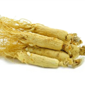 Ren Shen Chinese Herb white Panax Ginseng Root Traditional Chinese Herbal Medicine