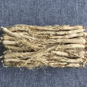 Ren Shen Chinese Herbs Ginseng Pure Natural Ginseng Root Dried White Ginseng