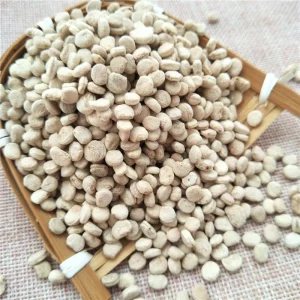 Ren Shen Seeds New Crop Panax Ginseng Seeds for Planting