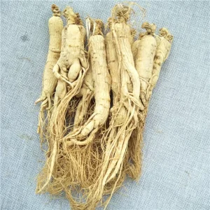 Ren Shen Top Grade Changbai Mountain White Panax Dried Ginseng Root Whole slice Tea