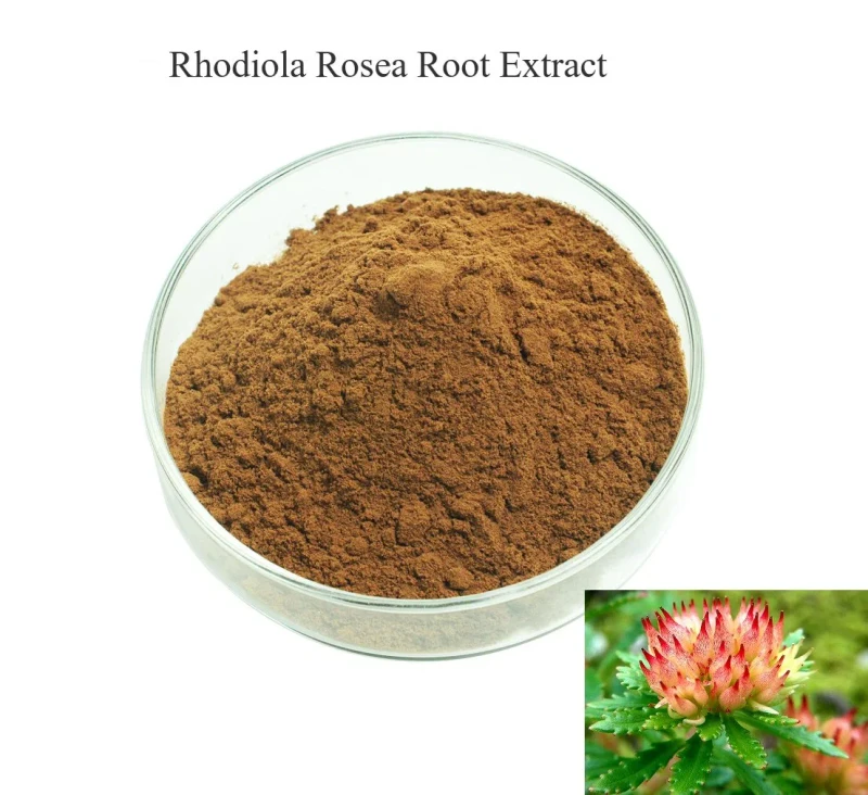Bulk Sourcing: Morels, Barley Fiber and Rhodiola Extract 3 Rhodiola Rosea Extract 3 Salidroside Stress Relief Focus