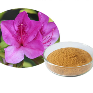 Rhododendron Leaf Extract