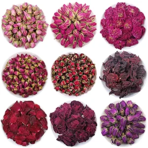Rose Buds, High-quality Roses, High-quality Rose Buds