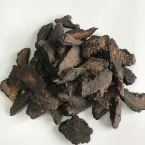 Rou Cong Rong Chinese Traditional Medicine Herb Cistanche Tubulosa